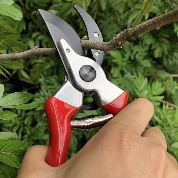 Pruning Shears & Branch Scissors