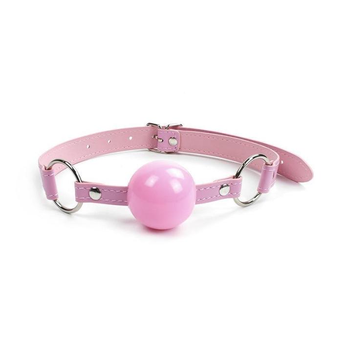 Pink Ball Gag