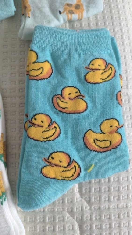 Blue Baby Duck Socks