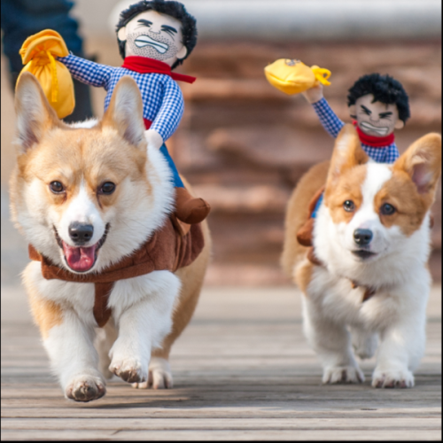 Ride Cowboy Dog Pet Costume Doll Novelty Pet Costume