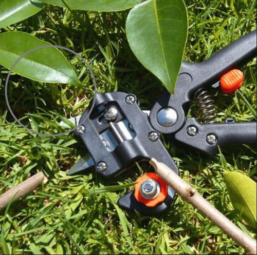 Garden Grafting Tool