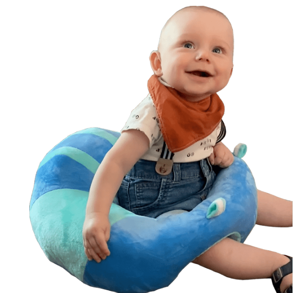 Comfy Baby Lounger Seat