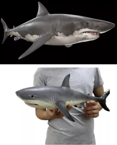 Lifelike Baby Shark