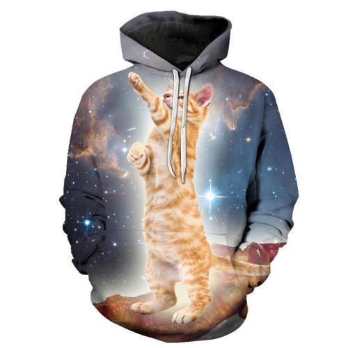 Cat God 3D Sweatshirt Hoodie Pullover