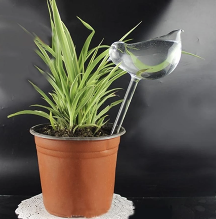 Plant Self-Watering Glass Bulbs