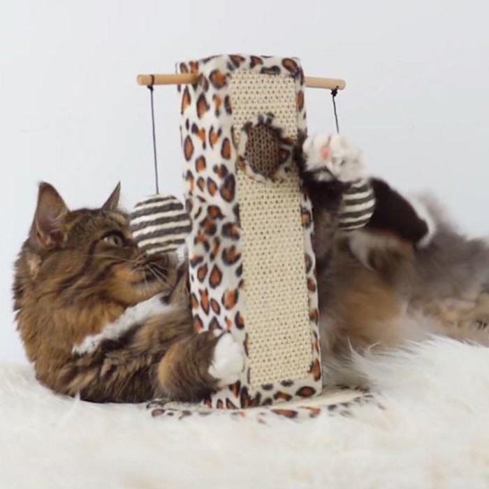 Scratching Post That Will Hold Every Cats Attention 😻