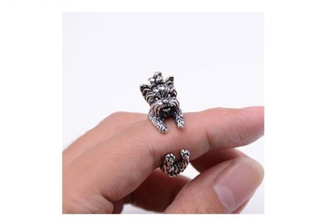 Cute Yorkie Terrier Ring