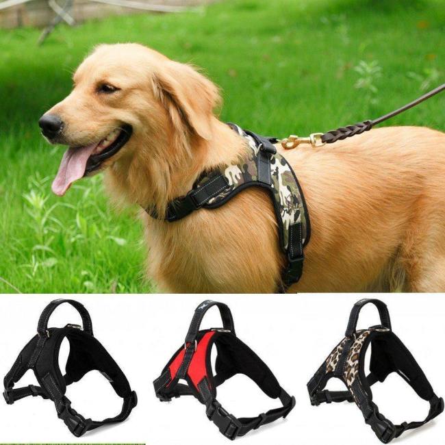 Adjustable Dog Harness With Handle