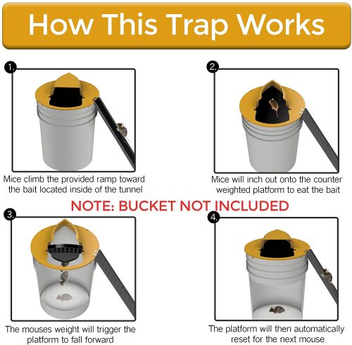 Flip N Slide Bucket Lid Mouse Trap