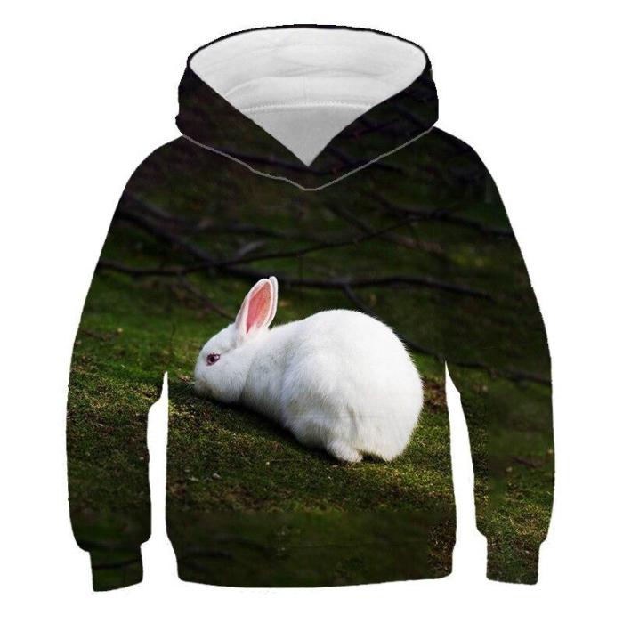 Autumn  Sale Fashion Boys Rabbit 3D Print Sport Hoodies T Shirt Outerwear Children Long Sleeve Casual Hooded Sweatshirt