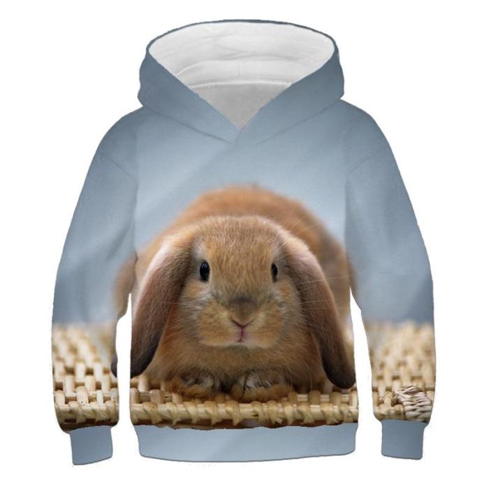Baby Girls Clothes Sweety Cute Rabbit 3D Print Hoodies Kids Sweatshirts Hoodie Sweater For Children Outwfits Baby Boys Long Tops