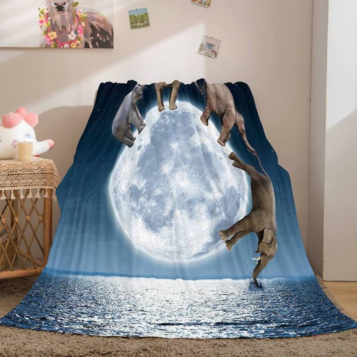 Cute Animals Soft Flannel Fleece Throw Cosplay Blanket Comforter Sets