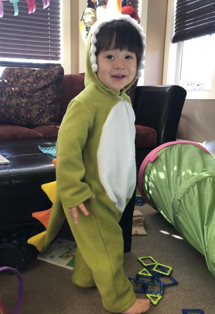 Dinosaur Jumpsuit Hoodie For Baby Toddler Onesie Kids Animal Costume