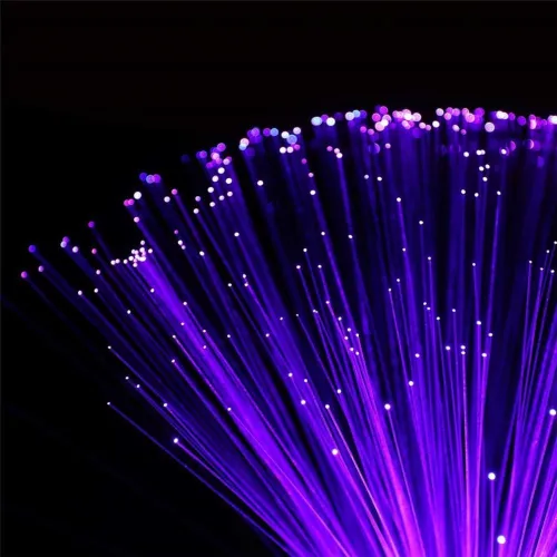 Fiber Optic Lamp Interior Decoration