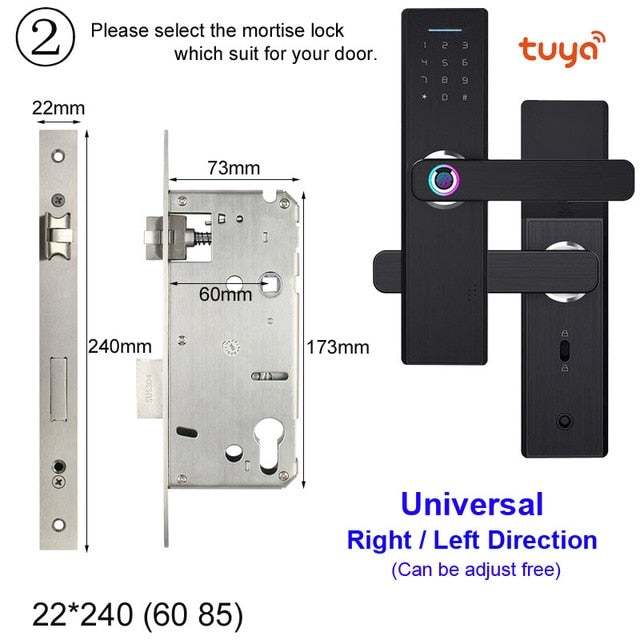 Raykube Wifi Electronic Door Lock With Tuya App Remotely / Biometric Fingerprint / Smart Card / Password / Key Unlock Fg5 Plus