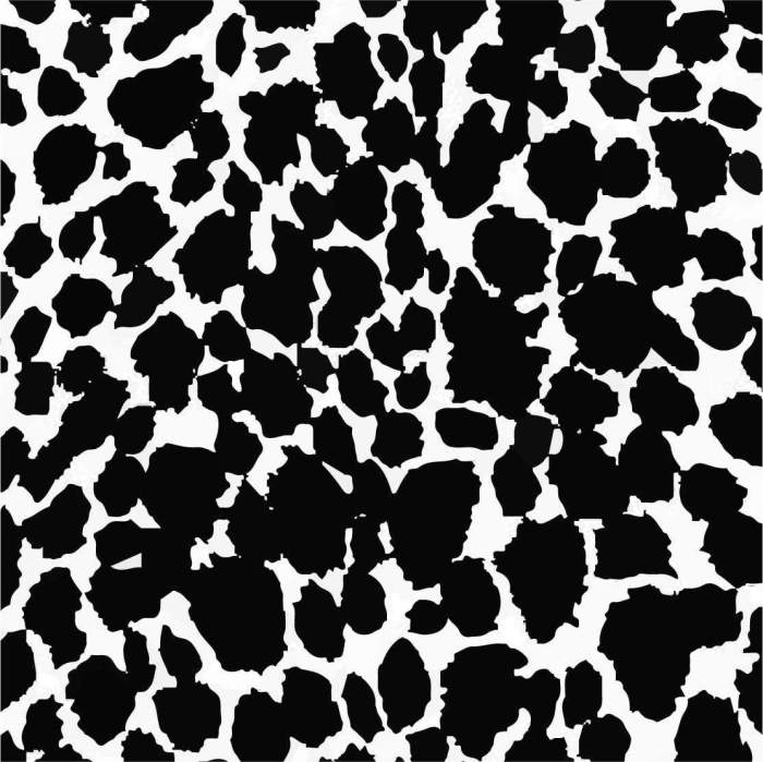 Excel+ Firm Crop - Black Cheetah