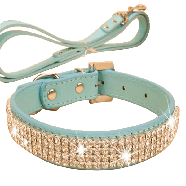 Sweet Baby Sparkly Leather Collar