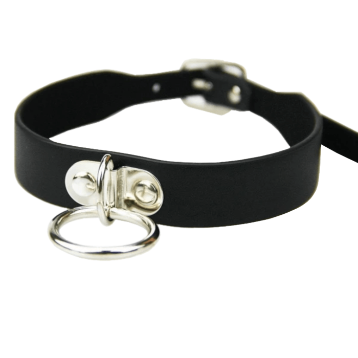 Simply Seductive Leather Collar With Leash Ring