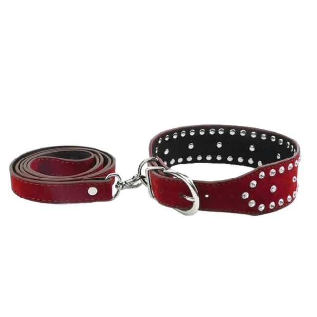 Naughty Pup'S Collar With Leash