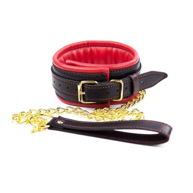Royal Treatment Leather Collar With Gold Leash