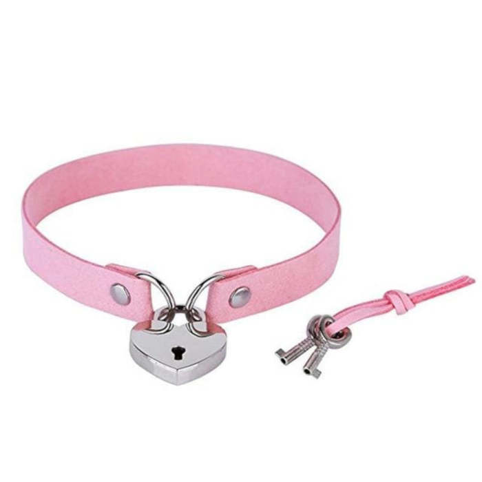 Lock The Pup Heart-Shaped Collar Lock