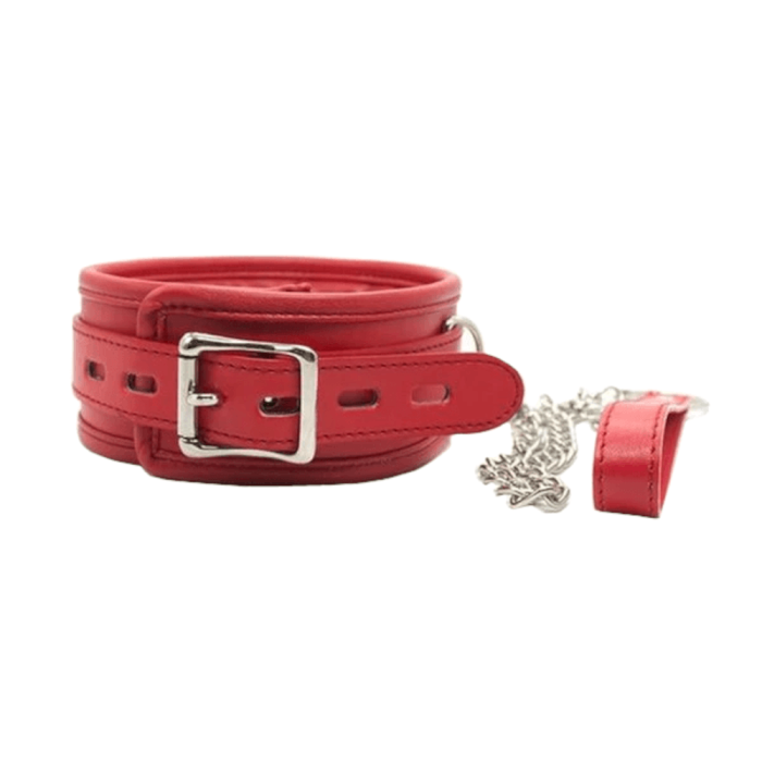 Daddy'S Little Pet'S Haven Bondage Collar With Metal Chain