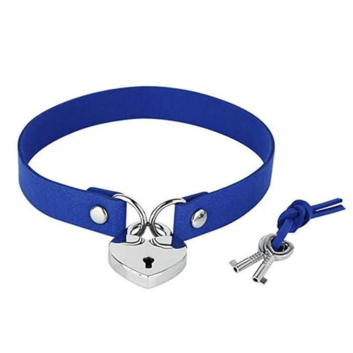 Lock The Pup Heart-Shaped Collar Lock
