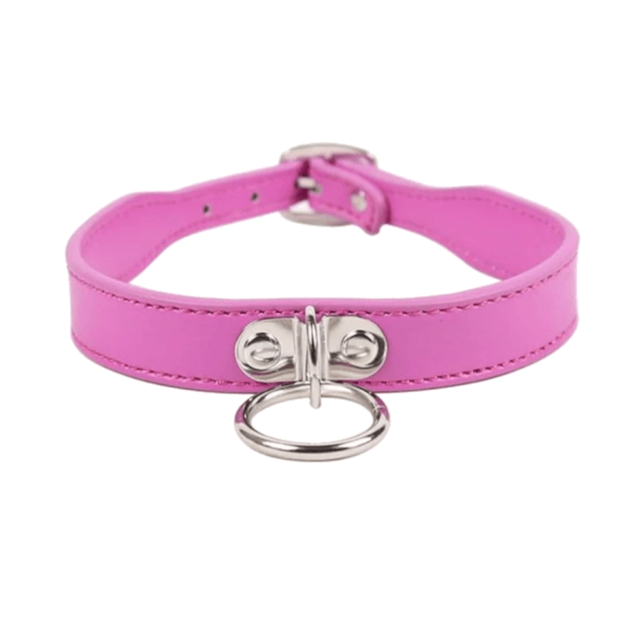 Simply Seductive Leather Collar With Leash Ring