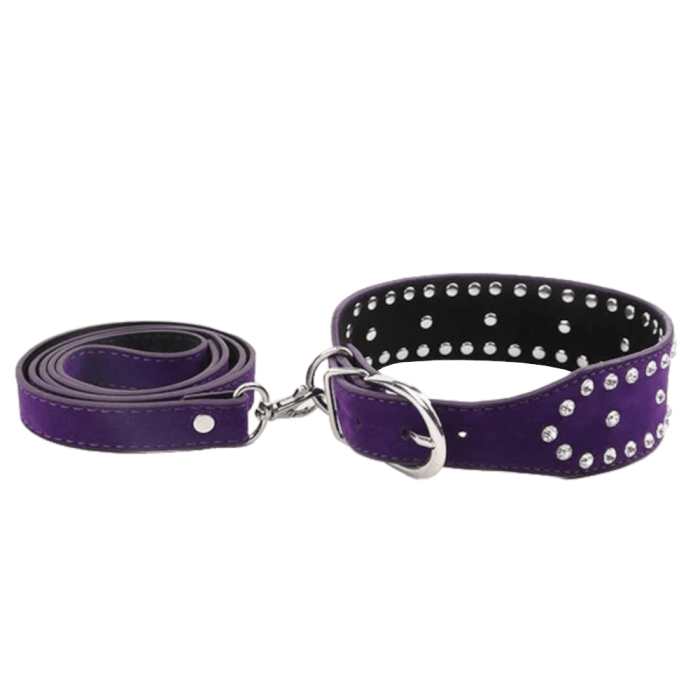 Naughty Pup'S Collar With Leash