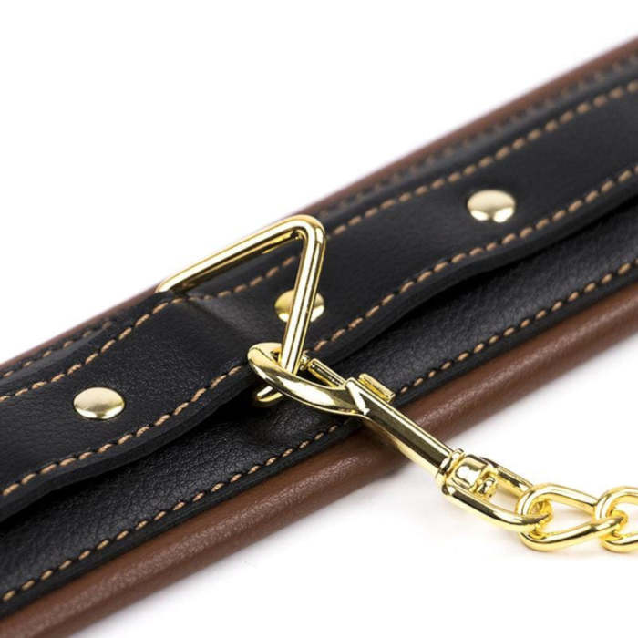 Royal Treatment Leather Collar With Gold Leash