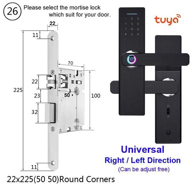 Raykube Wifi Electronic Door Lock With Tuya App Remotely / Biometric Fingerprint / Smart Card / Password / Key Unlock Fg5 Plus