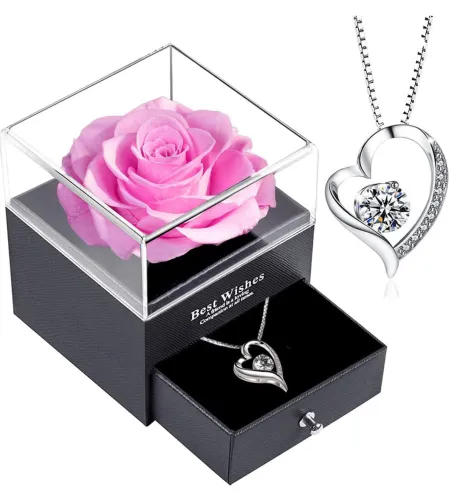 Eternal Rose With Silver Necklace