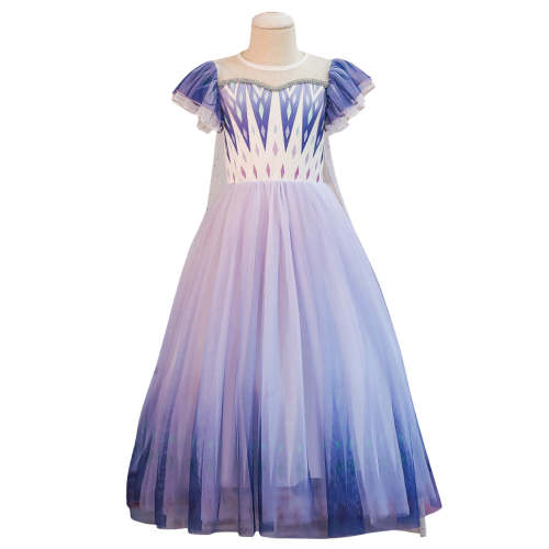 Kids Child Size Disney Frozen 2 Elsa Purple Dress Cosplay Costume