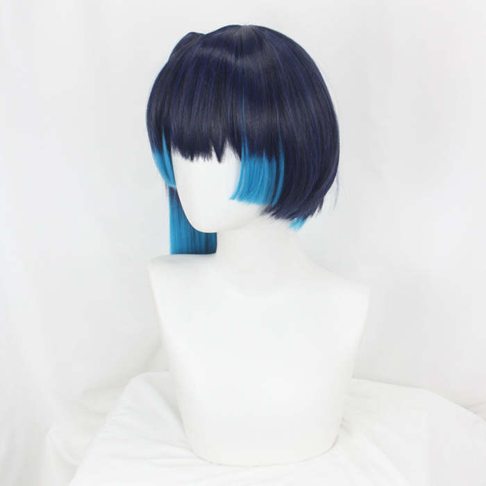 Xenoblade Chronicles 3 Sena Blue Cosplay Wig