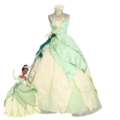 Disney Princess And The Frog Princess Tiana Halloween Cosplay Costume
