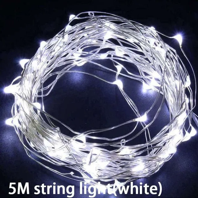 5M Led Copper Wire String Lights Romantic Wedding Fairy Light Decoration Aa Battery