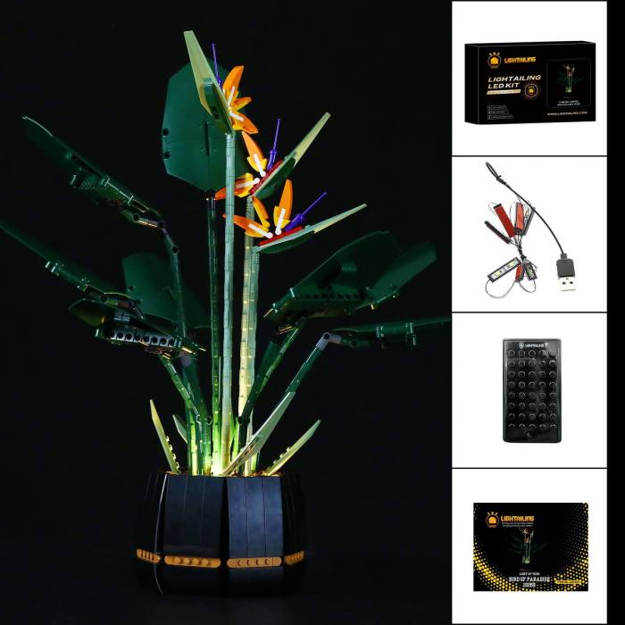 Light Kit For Bird Of Paradise 9