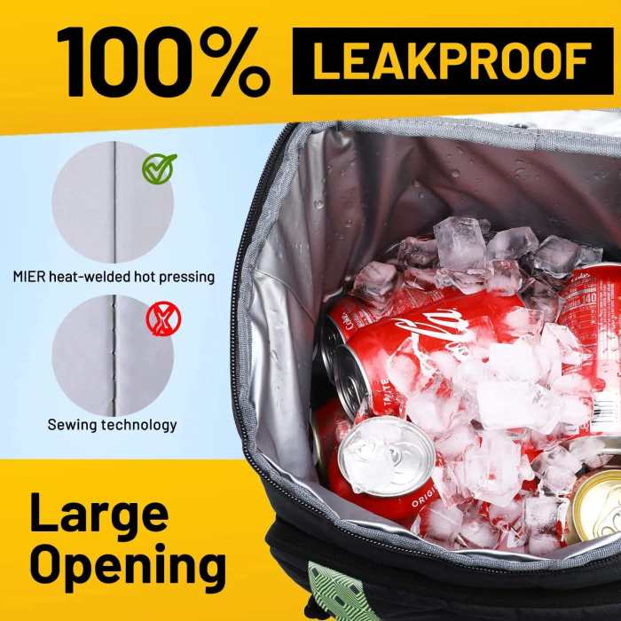 Insulated Backpack Coolers Leakproof Lunch Pack