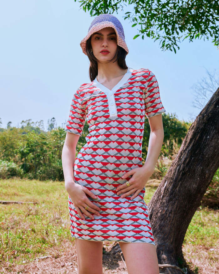 The Red V Neck Colorblock Knit Mini Dress