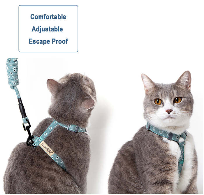 Cat Adjustable Harness & Leash Set