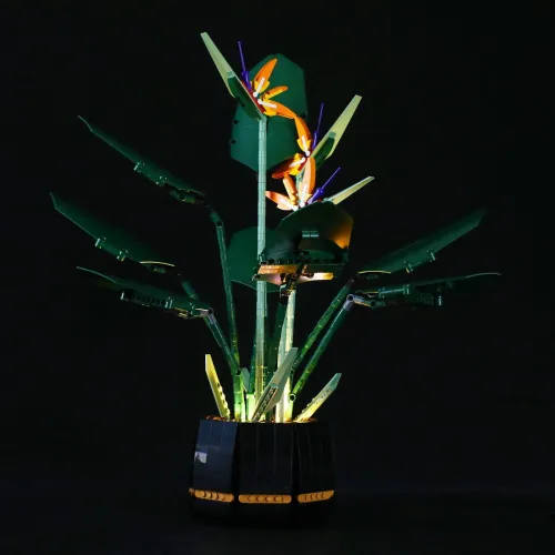 Light Kit For Bird Of Paradise 9