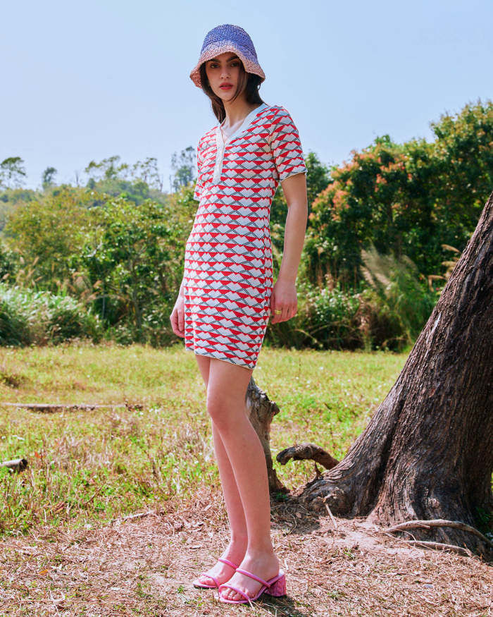 The Red V Neck Colorblock Knit Mini Dress