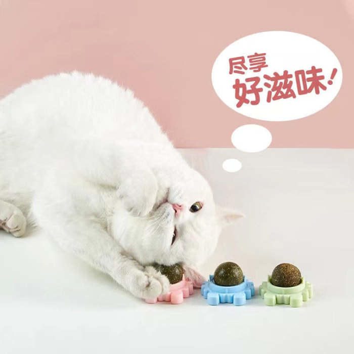 Pet Cat Toys Catnip Ball Cat Mint Cats Game Clean Teeth
