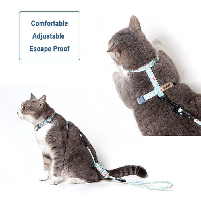 Cat Adjustable Harness & Leash Set