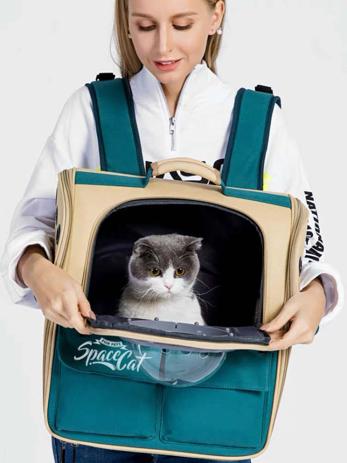 Cat Bubble Backpack, Durable Material,  Design