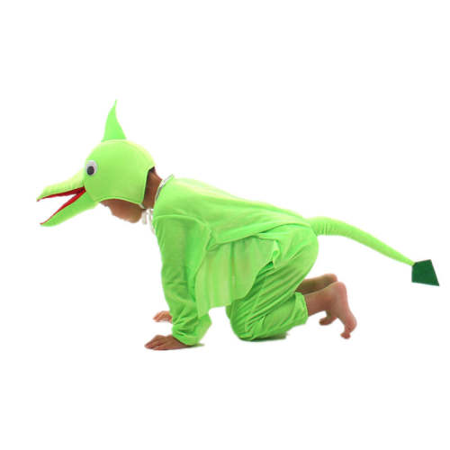 Pterosaur Kids Dance School Play Cosplay Party Costume