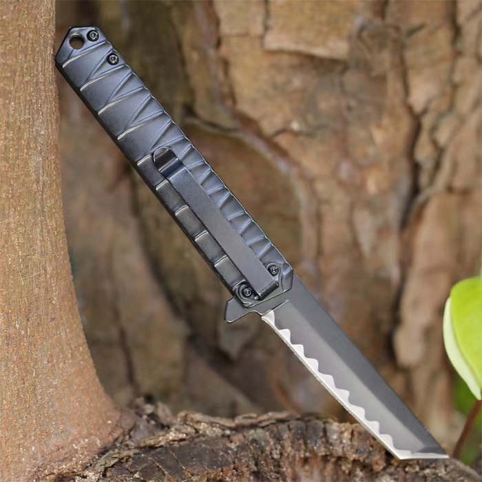 Asist-Spring Quick Open Folding Knife Great Idea For Camping