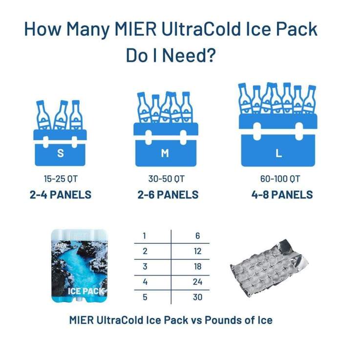 Reusable Ice Pack Long-Lasting Cooler Freezer Packs