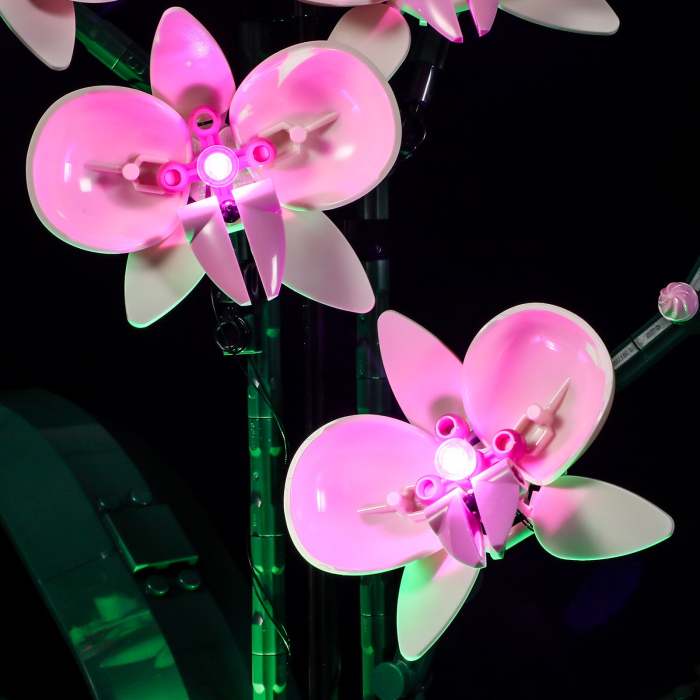 Light Kit For Orchid 1