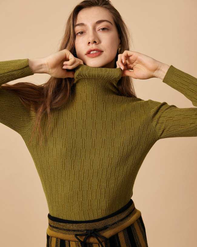 The Solid Textured Turtleneck Knit Top